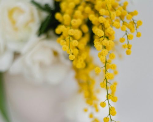 A close-up of a delicate floral arrangement featuring vibrant yellow mimosa and soft white roses.